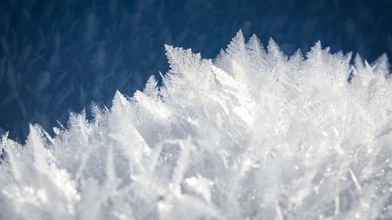 Frostsiecher