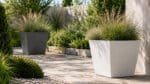 Zwei trapezförmige Aluminium-Pflanzkübel in Weiß und Grau mit unterschiedlichen Ziergräsern in einem sonnigen Garten
