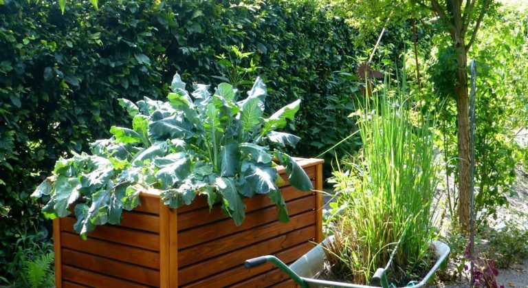 Große Pflanzkübel selber bauen - das Hochbeet im Pflanztrog