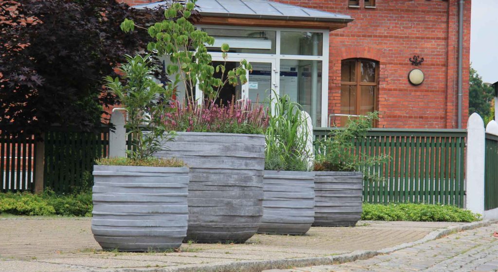Kreative Betonkübel im Garten: Ästhetik und Funktionalität