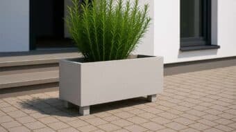 Francesco 2 beton