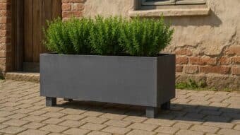 Francesco 4 beton