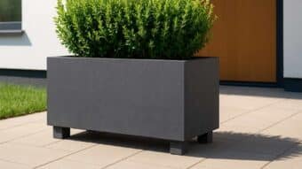 Francesco 5 beton