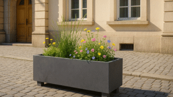 Francesco 7 beton