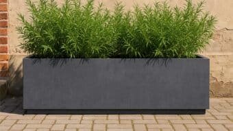 Geraldo 6 beton