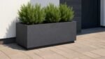 Ein rechteckiger Beton-Pflanzkasten GERALDO 2 (100×40×H40cm, grau) mit zwei grünen Sträuchern steht auf einer hellbraun gefliesten Terrasse neben einer weiß-dunkelgrauen Wand in der Nähe einer Tür. Die Szene ist gut beleuchtet, was darauf hindeutet, dass es tagsüber ist.
