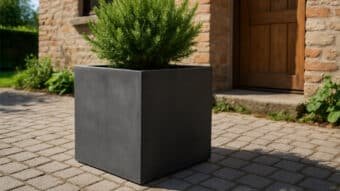 Alessandro 2 beton