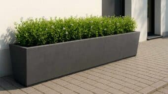 Violetta 5 beton