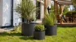 Drei schwarze Aluminium-Pflanzkübel in verschiedenen Größen mit Olivenbaum, Ziergras und grünem Strauch auf Rasen vor einer Holzpergola