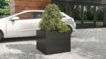 Arrangierung des Pflanzkübels aus Fiberglas Antonio 3