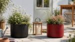 Schwarzer und roter Aluminium-Pflanzkübel mit dezenten Blumen und einer Holzlaterne dazwischen auf einer hellen Terrasse