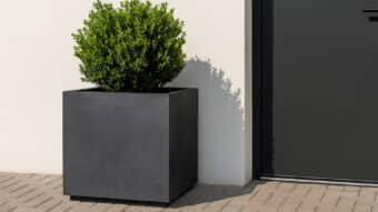 Große Pflanzkübel Beton-Davide 4