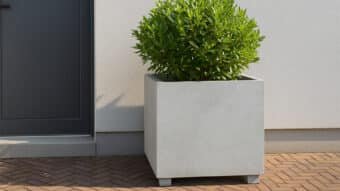 Große Pflanzkübel Beton-Nicola 4