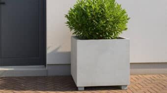 Große Pflanzkübel Beton-Nicola 4-a