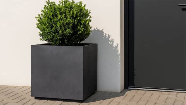 Große Pflanzkübel Beton Quadratisch-Davide4-a