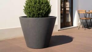 Große Pflanzkübel Beton Rund Pietro