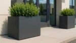 Zwei große Pflanzkübel Aluminium Groß 120cm x 100cm x H 80cm Edoardo 10 in verschiedenen RAL-Farben, bepflanzt mit dichten grünen Sträuchern, stehen auf einer hellen Terrasse vor Glastüren eines modernen Gebäudes; ein weiterer Pflanzkübel erscheint im Hintergrund.