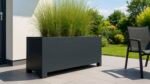Ein großer, rechteckiger Pflanzkübel Aluminium Groß 200cm x 60cm x H 70,5cm Apollo 26 jede RAL Farbe mit hohem Ziergras steht auf einer hell gefliesten Terrasse neben einem schwarzen Stuhl, mit Blick auf einen grünen Rasen, Bäume und einen klaren blauen Himmel in einem modernen Garten.
