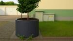 Ein Aluminium-Pflanzkübel Rund 80cm x H 80cm TIZIANO 2 in RAL Farbe mit einem belaubten Baum steht auf grauen Pflastersteinen, teilweise auf Gras. An seinem Fuß wachsen kleine Pflanzen. Im Hintergrund sind Stromkästen, ein Gebäude und weiße Garagentore zu sehen.