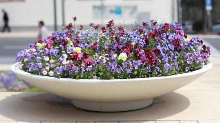 Beton Pflanzkübel Rund-Agnese-t