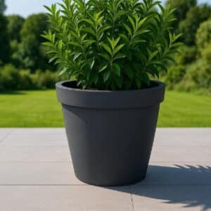Beton-pflanzkübel rund-Rebecca-1