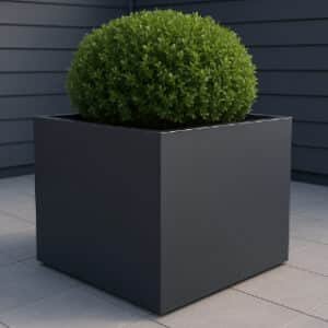Pflanzkübel Alessio 2 auf der Terrasse