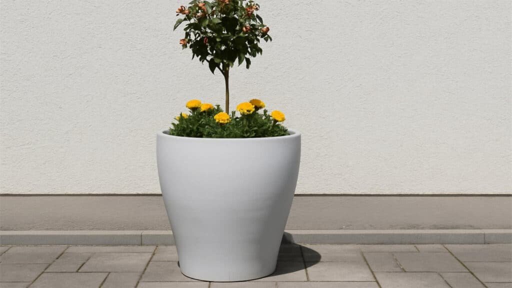 Pflanzkübel Beton Rund-Gaia-a