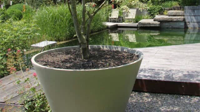Pflanzkübel Beton Rund-Pietro-d