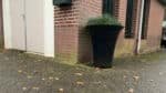Pflanzkübel Beton Rund-Romano-c
