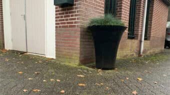 Pflanzkübel Beton Rund-Romano-c