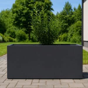 Pflanzschale- Beton- rechteckig-