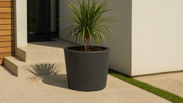 In einem großen, runden Pflanzkübel aus Aluminium Silvestro 11 (80cm x H 60cm, jede RAL Farbe), der auf einer hellen Steinterrasse neben dem Eingang eines modernen, weiß und holzgetäfelten Gebäudes steht, wächst eine grüne, stachelige Pflanze, die einen deutlichen Schatten wirft.