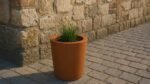 Der Pflanzkübel aus Cortenstahl Rund 50 cm x H 50 cm VASO 10 zeigt einen Büschel grünes Gras auf Pflastersteinen neben einer rustikalen Steinmauer, die in Sonnenlicht getaucht ist und eine ruhige Szene im Freien mit natürlichen Erdtönen schafft.