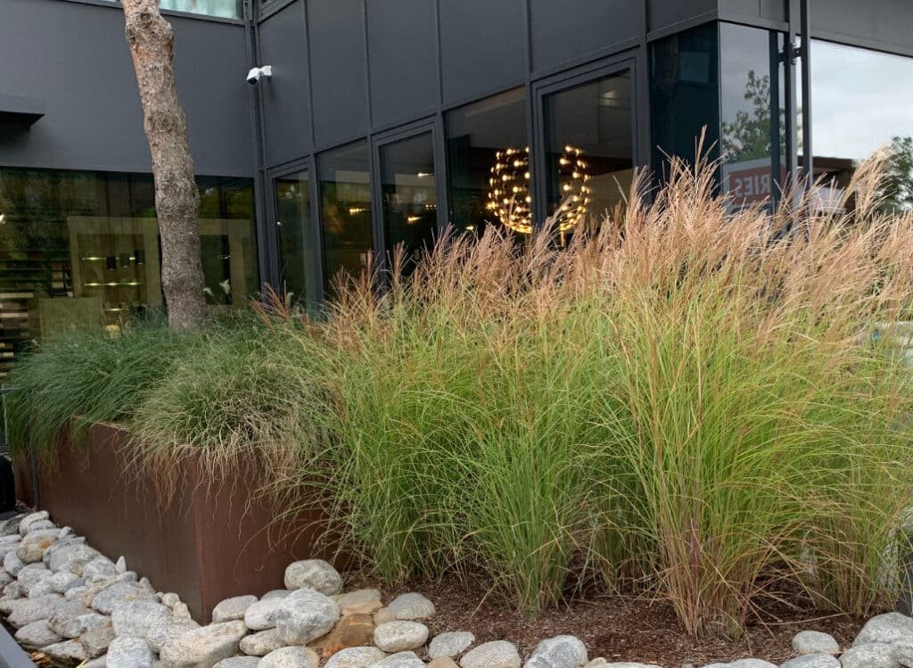 Beeteinfassung aus cortenstahl