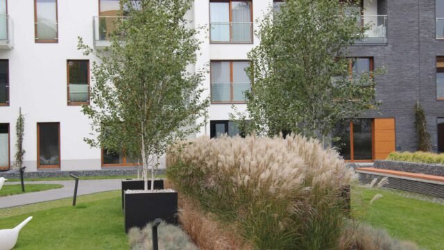 Ein modernes Wohngebäude mit weißen und dunkelgrauen Fassaden, großen Fenstern und Balkonen. Der Innenhof ist zeitgemäß und gepflegt gestaltet, mit Rasenflächen, hohem Gras, Sträuchern, gepflasterten Wegen und Sitzbänken. Zentrale Gestaltungselemente sind große, schwarze Betonpflanzkübel, in denen Birken gepflanzt sind. Die Pflanzkübel setzen klare, architektonische Akzente und unterstreichen den modernen Charakter der Anlage.