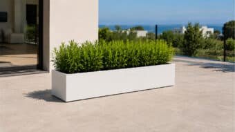 Weiße, leicht verkürzte rechteckige Pflanzkübel mit dichtem Grün auf einer sonnigen modernen Terrasse