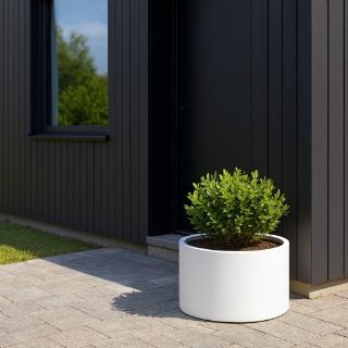Ein runder, weißer Pflanzkübel Aluminium Rund mit einem ordentlich beschnittenen grünen Busch sitzt auf einer hellgrauen Steinterrasse vor einem modernen Gebäude mit dunkler vertikaler Verkleidung und einem Fenster, in dem sich der Himmel spiegelt. Links grenzt Gras an die Veranda.