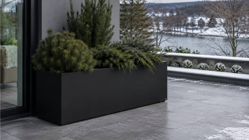 Schwarzer rechteckiger Aluminium-Pflanzkübel mit Nadelgehölzen am Rand einer modernen Terrasse im Winter, vor grauen Terrassenplatten, Glasfront und verschneiter Landschaft.