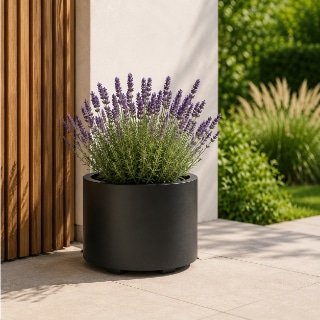 Schwarzer Aluminium-Pflanzkübel Carla 3 mit Lavendel auf einer sonnigen Terrasse neben moderner Holzfassade