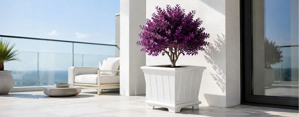 Weißer Pflanzkübel aus Fiberglas mit kleinem violettem Bäumchen auf einem modernen, sonnigen Balkon