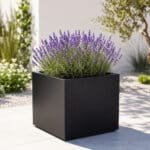Alessio 1 Pflanzkübel aus Aluminium in Schwarz mit Lavendel auf einer sonnigen Terrasse