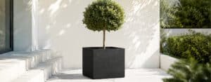 Monica schwarzer Beton-Pflanzkübel in quadratischer Form mit kleinem Baum auf einer hellen Gartenterrasse