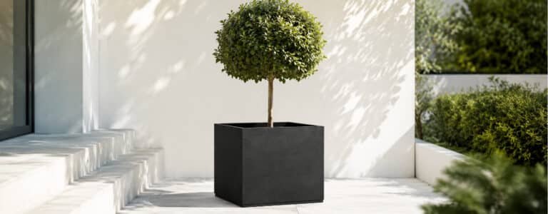 Monica schwarzer Beton-Pflanzkübel in quadratischer Form mit kleinem Baum auf einer hellen Gartenterrasse