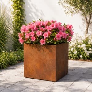 Cubi 2 cortenstahl Pflanzkübel mit rosa Azaleen im sonnigen Garten