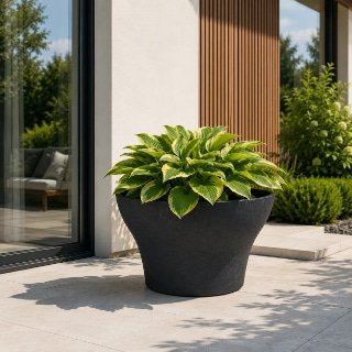 Schwarzer Pflanzkübel Tommaso aus Beton mit grünen Hostas auf einer sonnigen Terrasse neben einem modernen Haus