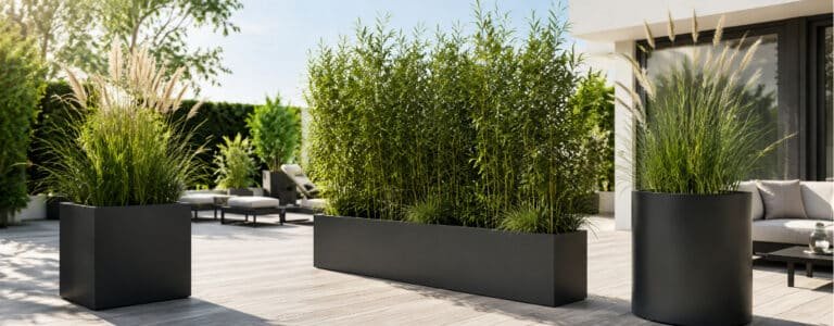 Schwarze Pflanzkübel mit hohen Sichtschutzpflanzen auf einer sonnigen modernen Terrasse