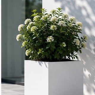 Weißer Pflanzkübel mit quadratischer Basis und blühender Bepflanzung auf einer modernen Terrasse.