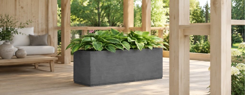 Grauer Beton-Pflanzkübel mit Hosta in einer hellen Holzlaube