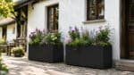Zwei schwarze rechteckige Aluminium-Pflanzkübel mit üppigen rosa, violetten und weißen Blüten stehen nebeneinander vor einem hellen, traditionellen Haus mit Holztüren und Sprossenfenstern