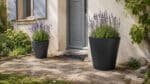 Aluminium-Pflanzkübel in Schwarz mit blühendem Lavendel stehen auf dem Weg vor dem Eingang eines traditionellen Hauses